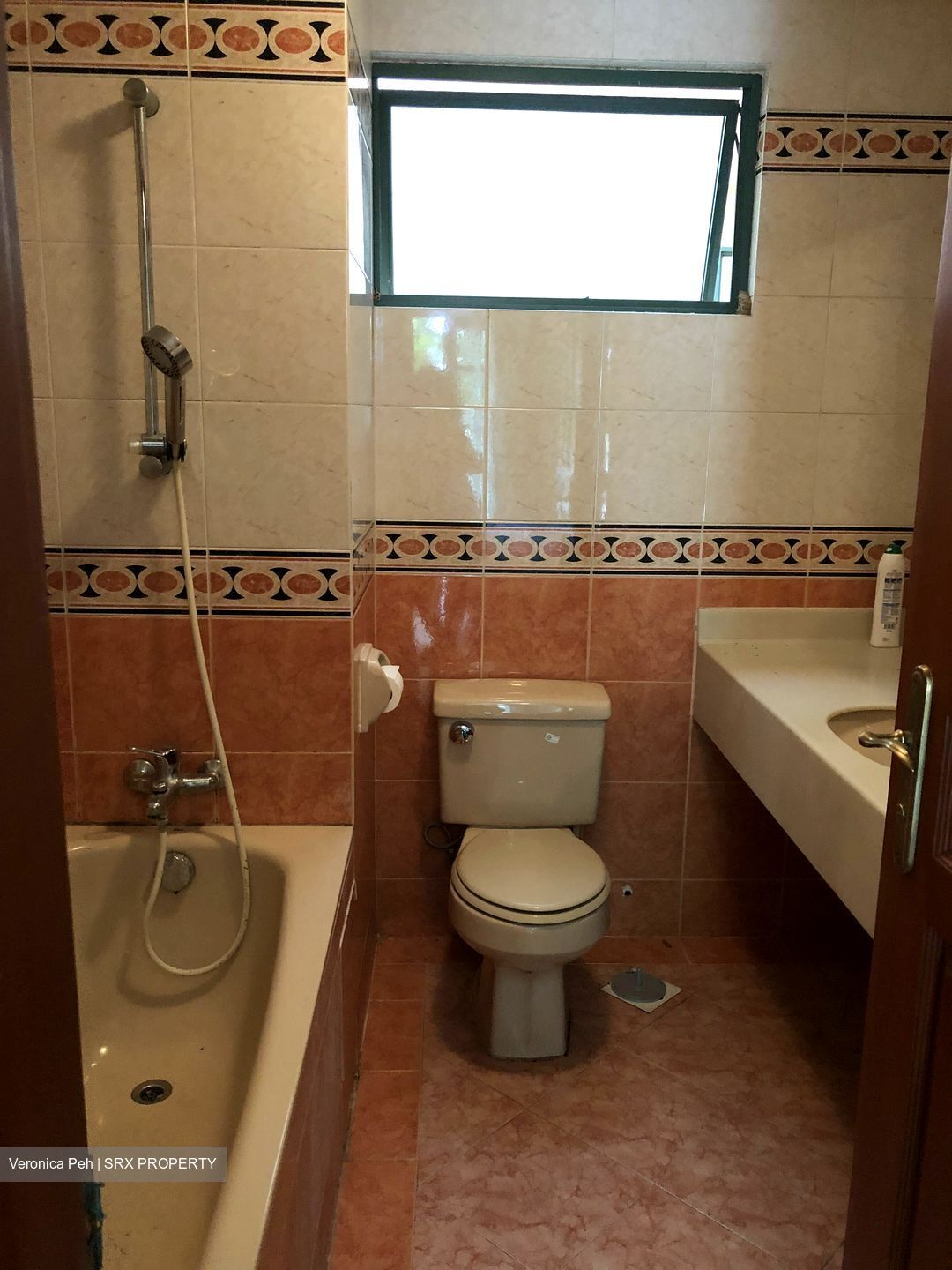 Hillview Heights (D23), Condominium #430767881